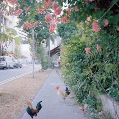 澳门威尼克斯人网站